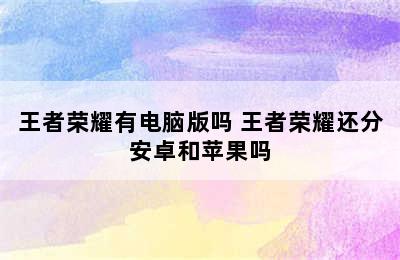 王者荣耀有电脑版吗 王者荣耀还分安卓和苹果吗